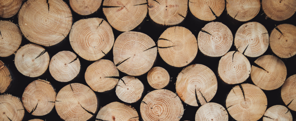 BM CERTIFICATION VIEŠOSIOS PAREIŠKIMAI