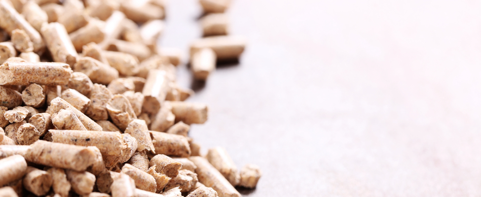 SBP Tvarios biomasės programa