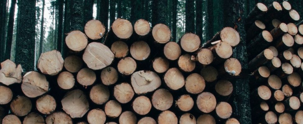Prekybos mediena potvarkis Šveicarijoje – Holzhandelsverordnung (HHV)