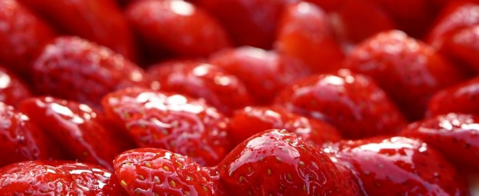 ISO 22000 ar FSSC 22000 – kuris standartas tinkamesnis jūsų įmonei?