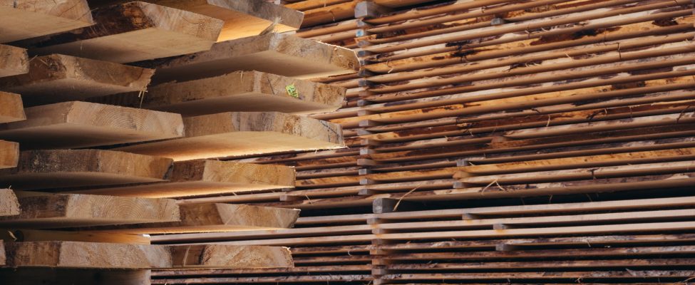 WPA „Benchmark“ TW schema