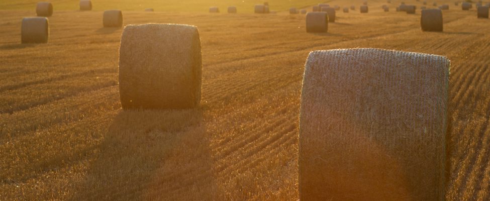 Džiaugiamės galėdami pranešti, kad esame patvirtinti kaip SURE-EU sistemos sertifikavimo įstaiga