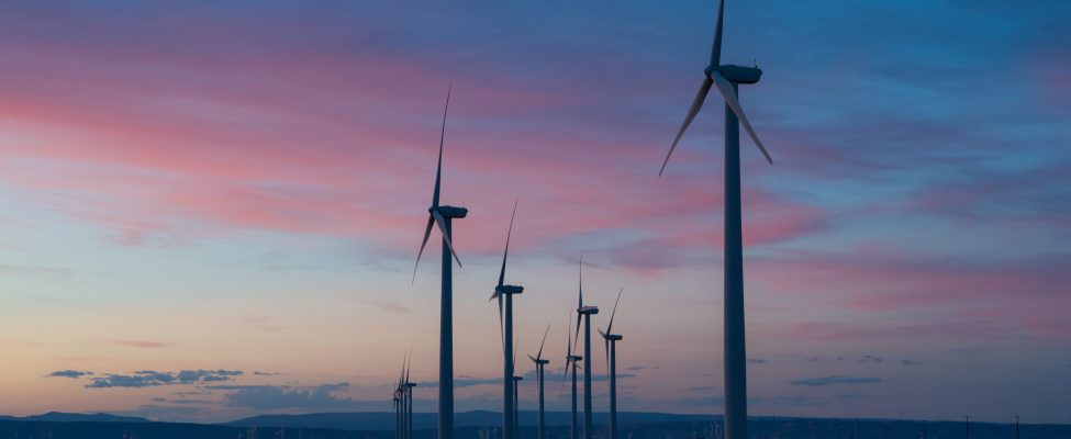 CDP vandens ir anglies dioksido patikra – anglies dioksido kiekio atskleidimo patikra