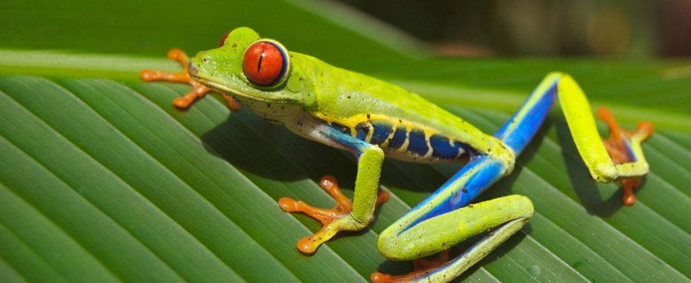 Tvarūs sprendimai: Kaip ISO 14001 padeda įveikti plastiko taršą?