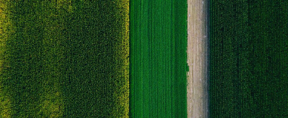 ES taksonomija, SFDR ir Europos žaliųjų obligacijų standartas