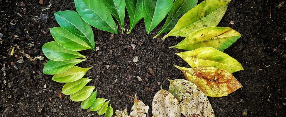 Gyvavimo ciklo vertinimo (LCA) nauda šiuolaikinėje verslo aplinkoje