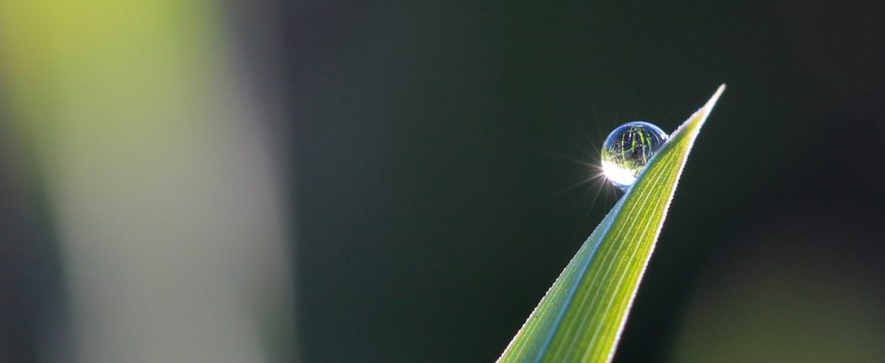 Tarptautinių standartų reikšmė