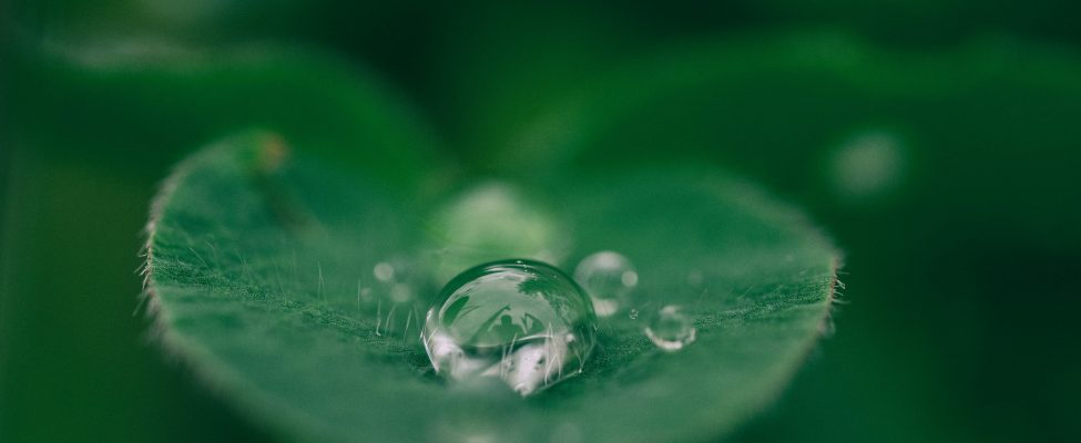 ES taksonomija, SFDR ir Europos žaliųjų obligacijų standartas