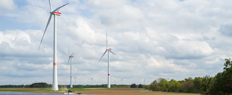 Atnaujinti ir patvirtinti SURE-EU schemos standartai